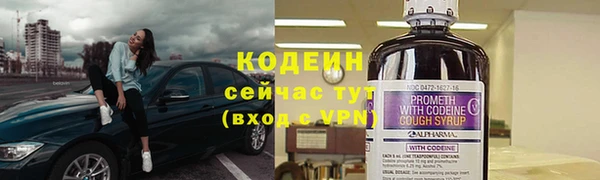 прущие грибы Богданович